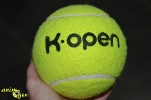 Jouet pour chien : balle de tennis géante (K.Open)