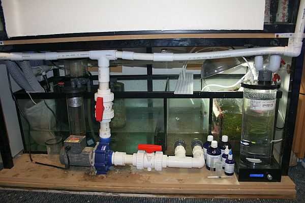 Comment choisir la pompe à eau d'un aquarium ? (fonction, type, puissance)