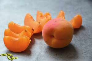 L'abricot, un fruit d'été pour perroquets vitaminés