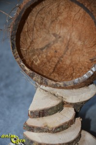 Cabane perchée en noix de coco pour rongeurs (fabrication,tutoriel,test)