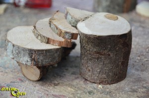 Cabane perchée en noix de coco pour rongeurs (fabrication,tutoriel,test)