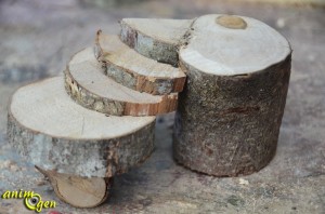 Cabane perchée en noix de coco pour rongeurs (fabrication,tutoriel,test)