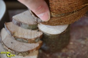 Cabane perchée en noix de coco pour rongeurs (fabrication,tutoriel,test)