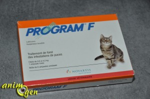 Santé : Program F (Novartis), antiparasitaire oral pour chats