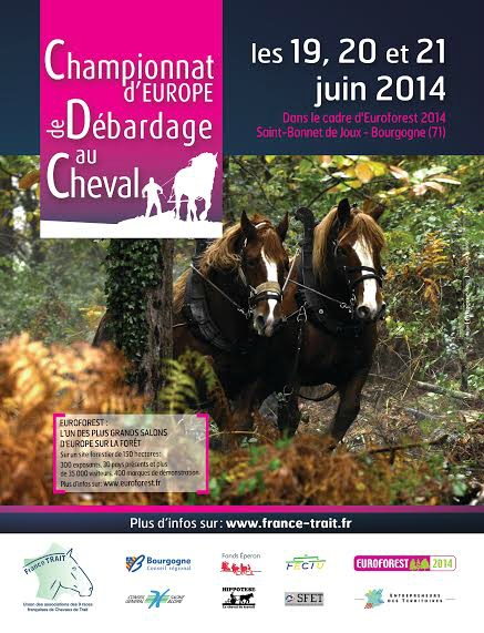 Championnat d'Europe de débardage à cheval à Saint Bonnet de Joux (71), du jeudi 19 au samedi 21 juin 2014