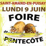 Foire de Pentecôte à Saint Amand en Puisaye (58), le lundi 09 juin 2014