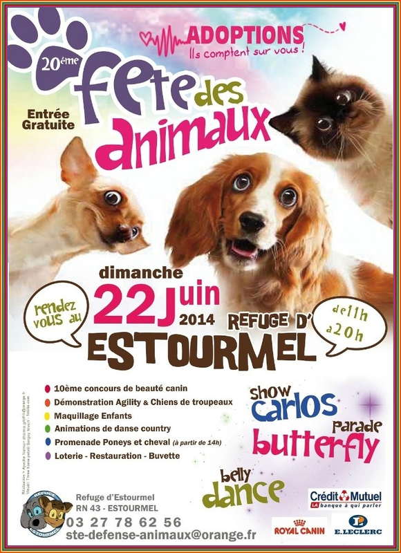 20 ème Fête des animaux à Estourmel (59), le dimanche 22 juin 2014