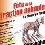 Fête de la traction animale à Mandray (88), du samedi 05 au dimanche 06 juillet 2014