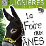 Foire aux Ânes à Lignières en Berry (18), du samedi 07 au lundi 09 juin 2014