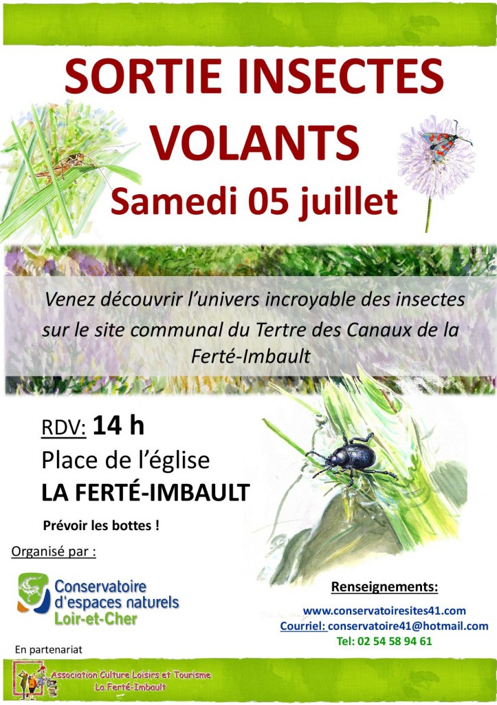 Sortie insectes volants à La Ferté Imbault (41), le samedi 05 juillet 2014