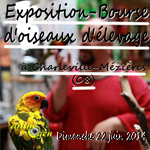 Exposition-Bourse d'oiseaux d'élevage à Charleville-Mézières (08), le dimanche 22 juin 2014
