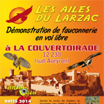 Démonstration de fauconnerie en vol libre à la Couvertoirade (12) du 12 juillet au 21 septembre 2014