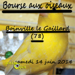 Bourse aux oiseaux à Boinville le Gaillard (78), le samedi 14 juin 2014