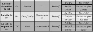 La reproduction des rats : croisements, hérédité et génétique 