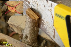 Accessoire à fabriquer pour nos rongeurs : passerelle sur pilotis