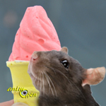 Bloc minéral pour rongeurs : cornet de glace Ice Cream (Daily Diner)