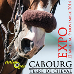 Exposition photographique "Cabourg terre de cheval" à Cabourg (14), du samedi 12 avril au dimanche 09 novembre 2014