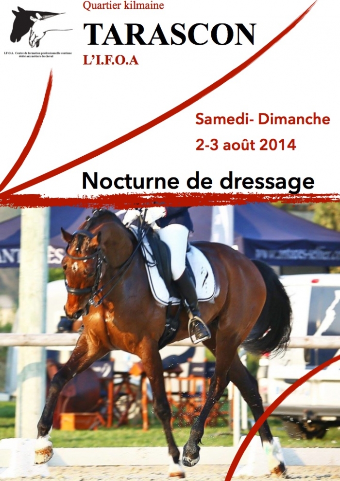 Nocturne de dressage à Tarascon (13), du samedi 02 au dimanche 03 août 2014