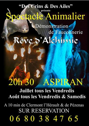 Spectacle animalier "Rêve d'Alchimie" à Aspiran (34), du 09 juillet au 31 août 2014
