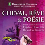 Spectacle équestre "Cheval, Rêve et Poésie" à Chantilly (60), du jeudi 17 juillet au dimanche 17 août 2014