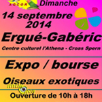 Bourse aux oiseaux à Ergué-Gaberic (29), le dimanche 14 septembre 2014