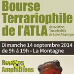 Bourse Terrariophile de l'ATLA à La Montagne (44), le dimanche 14 septembre 2014