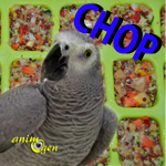 Le "chop" , une révolution culinaire américaine pour mieux nourrir nos perroquets