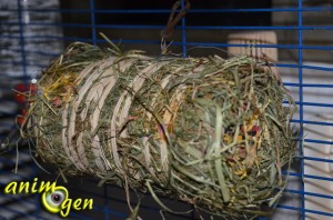 Alimentation et foraging : botte de foin pour rongeurs et lapins Hanseaten (Vitakraft)