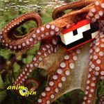 Deux idées de jouets à fabriquer pour une pieuvre en captivité
