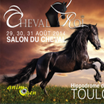 Salon du Cheval « Cheval Roi » à Toulouse (31), du vendredi 29 au dimanche 31 août 2014