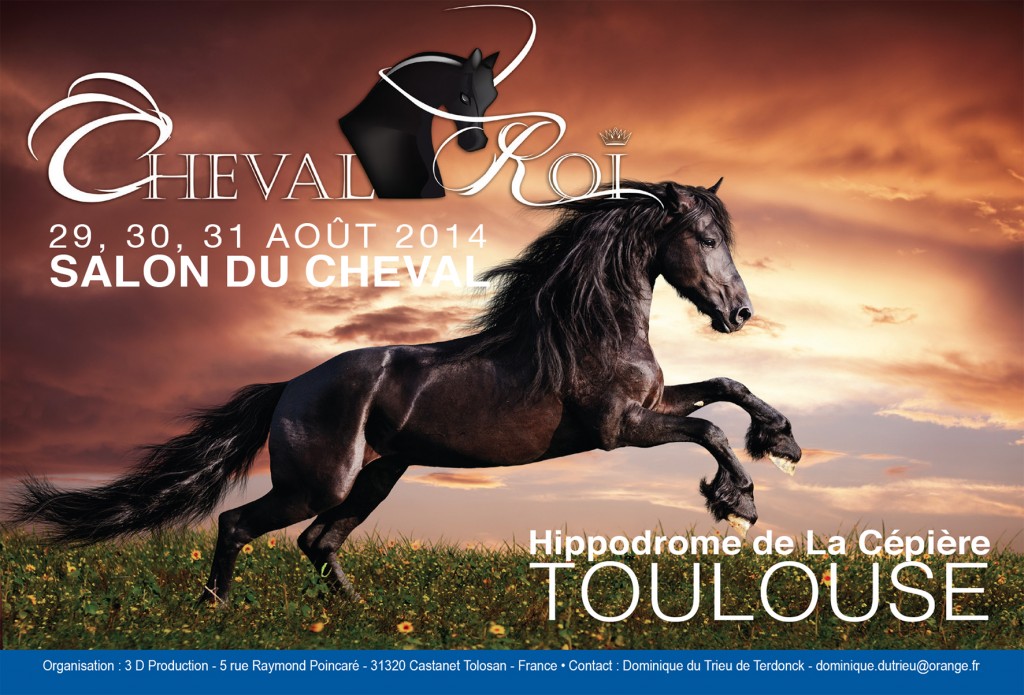 Salon du Cheval « Cheval Roi » à Toulouse (31), du vendredi 29 au dimanche 31 août 2014