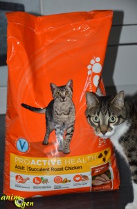 Alimentation pour chats : croquettes Iams au poulet (test, avis, prix)