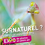 Exposition de photographies "Surnaturel ?" à Saint Georges de Montaigu (85), du samedi 26 avril au mardi 30 septembre 2014