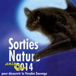 Sortie Nature "Chauve-souris, entre mythe et réalité" à Saint Laurent sur Sèvre (85), les vendredi 29 août et 19 septembre 2014