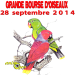 Grande Bourse d'Oiseaux à Latinne (Belgique), le dimanche 28 septembre 2014
