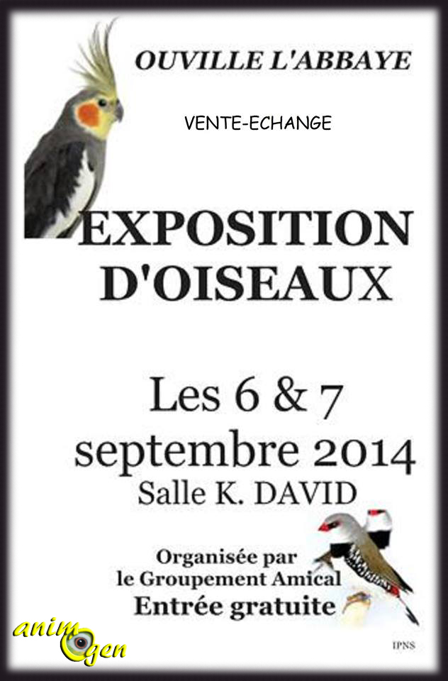 3 ème Exposition d'oiseaux à Ouville l'Abbaye (76), du samedi 06 au dimanche 07 septembre 2014