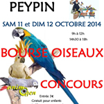 Bourse aux oiseaux et concours à Peypin (13), du samedi 11 au dimanche 12 octobre 2014 
