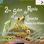 2 ème Salon du reptile et de l'insecte à Noeux les Mines (62), le dimanche 21 septembre 2014