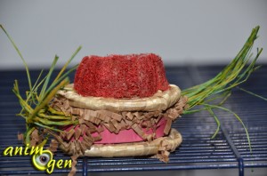 Jeu de foraging pour perroquets : hamburgers en feuille de bananier, papier, loofah, raphia