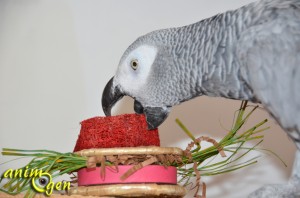 Jeu de foraging pour perroquets : hamburgers en feuille de bananier, papier, loofah, raphia