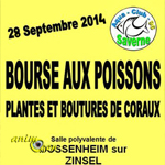 Bourse aux Poissons, plantes et boutures de coraux à Dossenheim-sur-Zinsel (67), le dimanche 28 septembre 2014