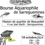 Bourse aux poissons à Sarreguemines (57), le dimanche 12 octobre 2014