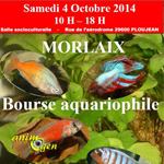 Bourse aquariophile à Morlaix (29), le samedi 04 octobre 2014