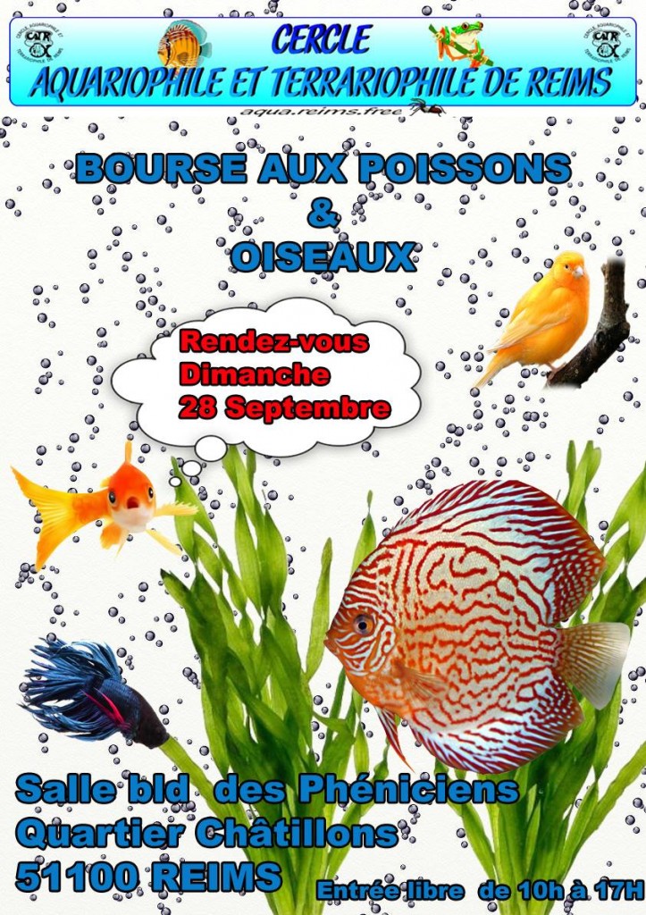 Bourse aux poissons et oiseaux et matériels à Reims (51), le dimanche 28 septembre 2014