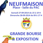 15 ème Challenge, Bourse aux oiseaux à Saint Ghislain (Belgique), du samedi 27 au dimanche 28 septembre 2014