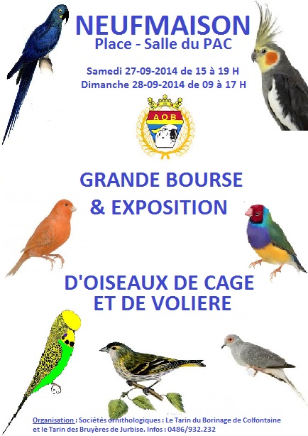 15 ème Challenge, Bourse aux oiseaux à Saint Ghislain (Belgique), du samedi 27 au dimanche 28 septembre 2014