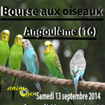 Bourse aux oiseaux à Angoulême (16), le samedi 13 septembre 2014