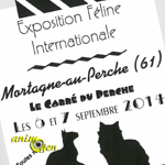 Exposition Féline Internationale à Mortagne au Perche (61), du samedi 06 au dimanche 07 septembre 2014