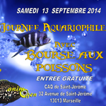 Journée aquariophile, Bourse aux Poissons à Marseille (13), le samedi 13 septembre 2014