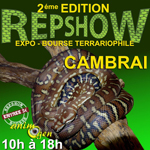Expo-Bourse terrariophile Reptishow à Cambrai (59), du samedi 04 au dimanche 05 octobre 2014